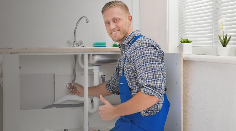 Holiday Plumbing Service in Woodlawn, IL